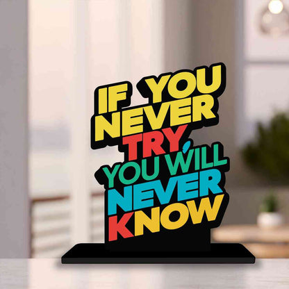 If You Never Try You Will Never Know